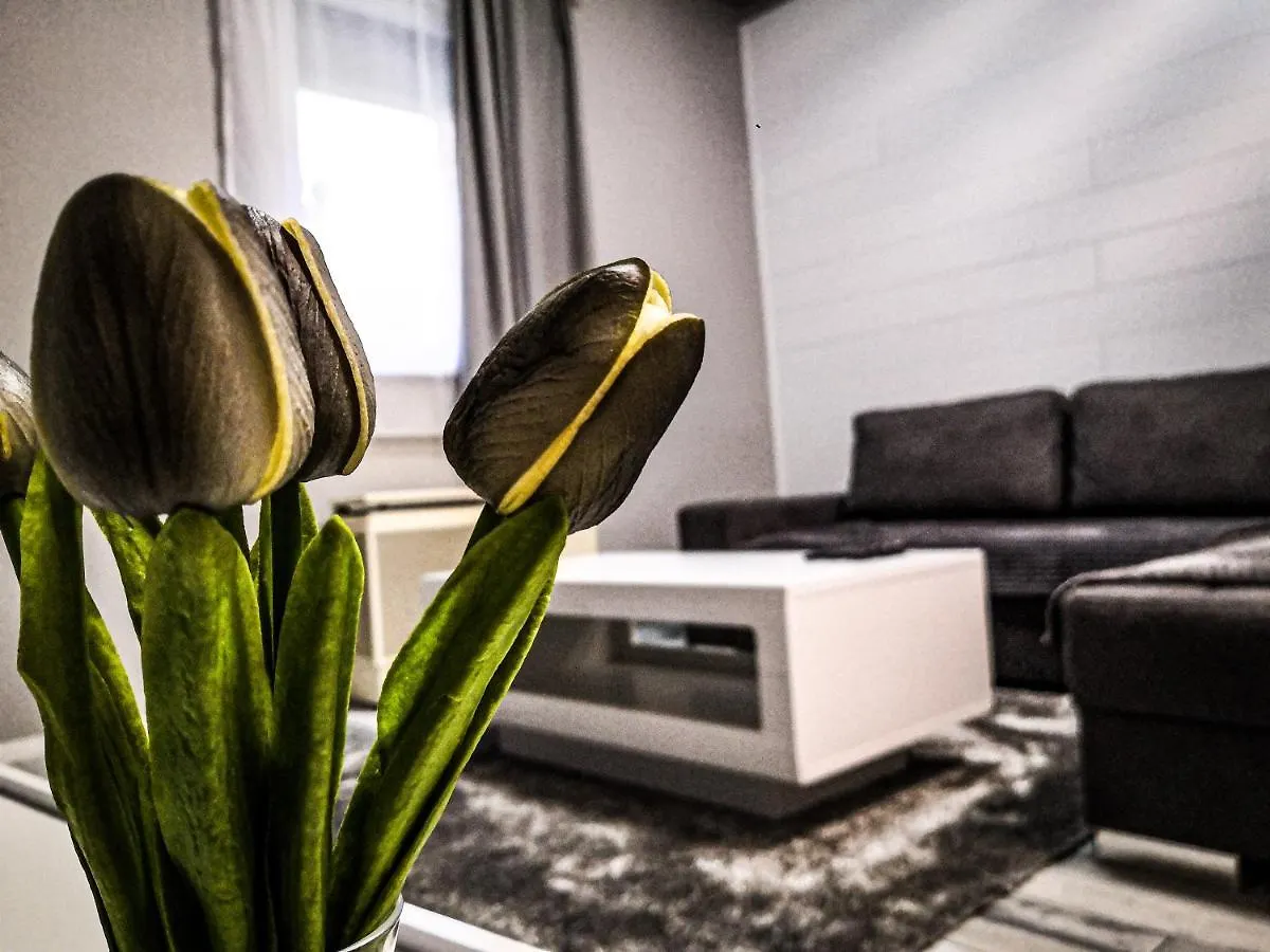 Ersek Apartman Eger Apartment